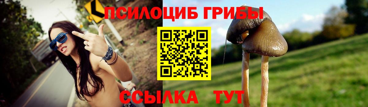 Галлюциногенные грибы Psilocybe Златоуст